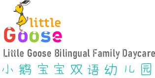 Little Goose logo